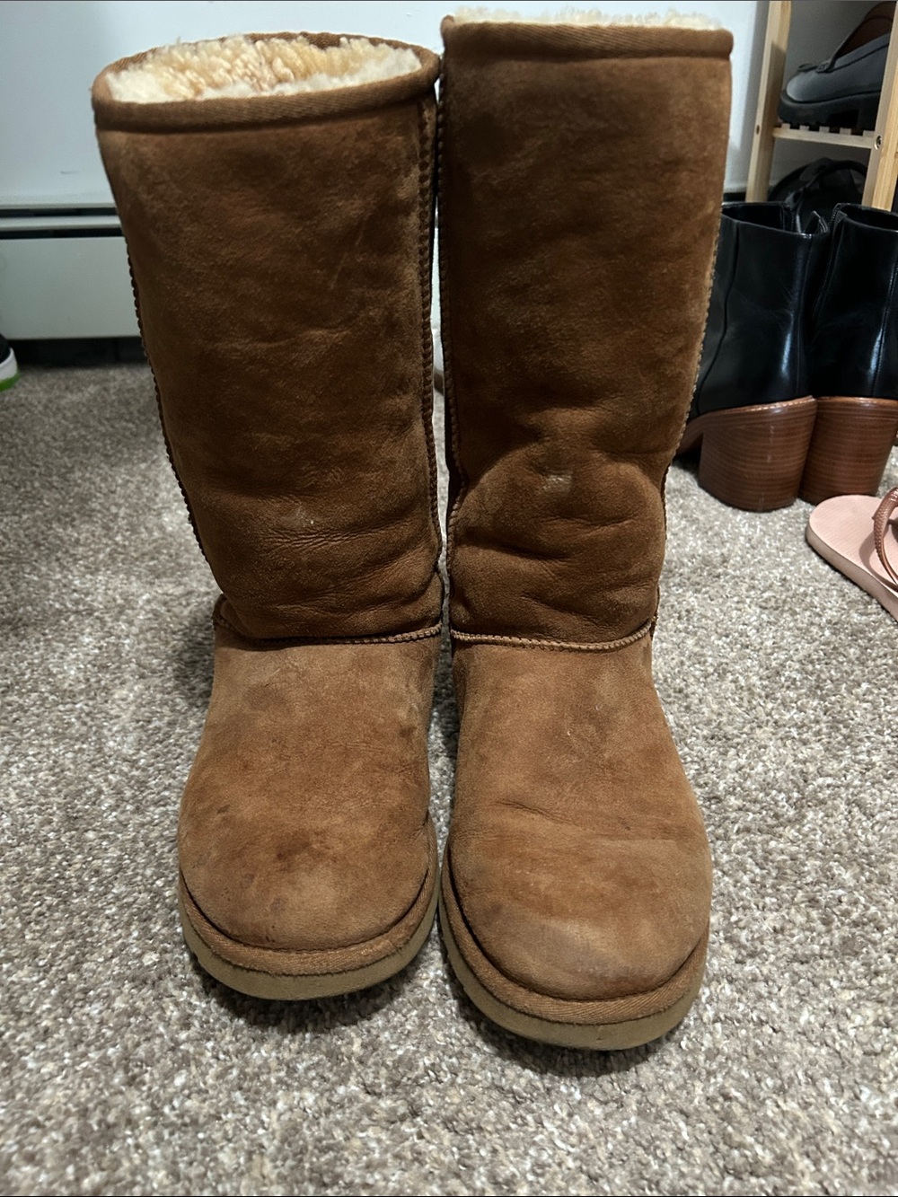 UGG Tall Suede Winter Boots in Chestnut